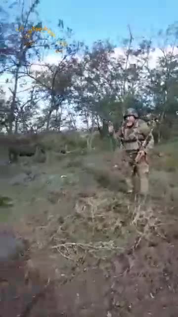 SCRAP METAL: is what became of this T-64 Ukrainian tank in Zaporozhye region