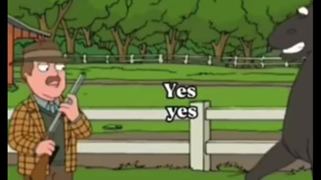 Funny Family Guy