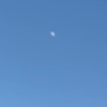 I Think I Saw An Alien Walking On The Moon