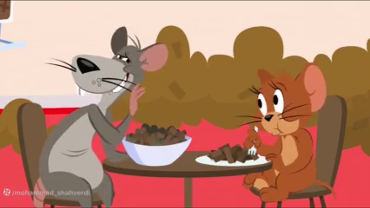 Tom and Jerry cartoon