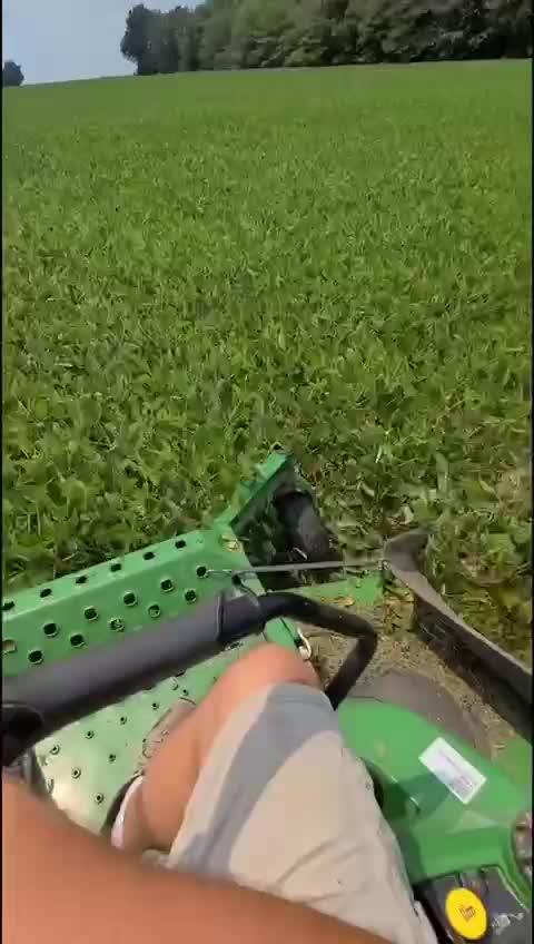 A Farmer Destroying His Crops Part 2