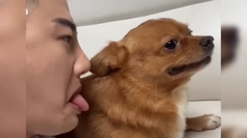 What do you do when a dog steals your first kiss?