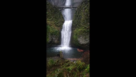 WATERFALL WITH NATURE