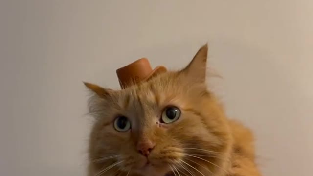 the final boss