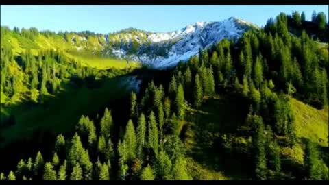 Relaxing Music | Sleeping, Meditation, Stress Relief | [1918] ⭐️