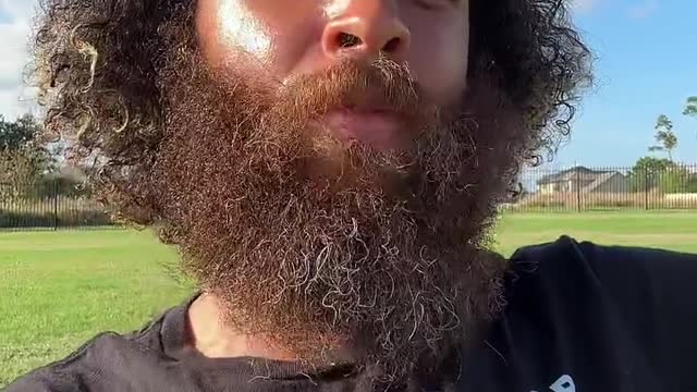 sunny day, nature, walk stroll with rock mercury