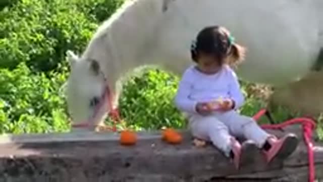 The cutest little horse rider and her pony.