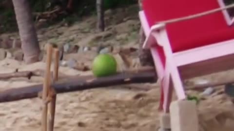 How to get rid the one I will let her know that