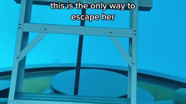 When she books an underwater bungalow and this is the only way to escape her