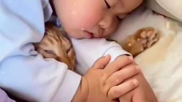 Cute Baby With Cute Cate