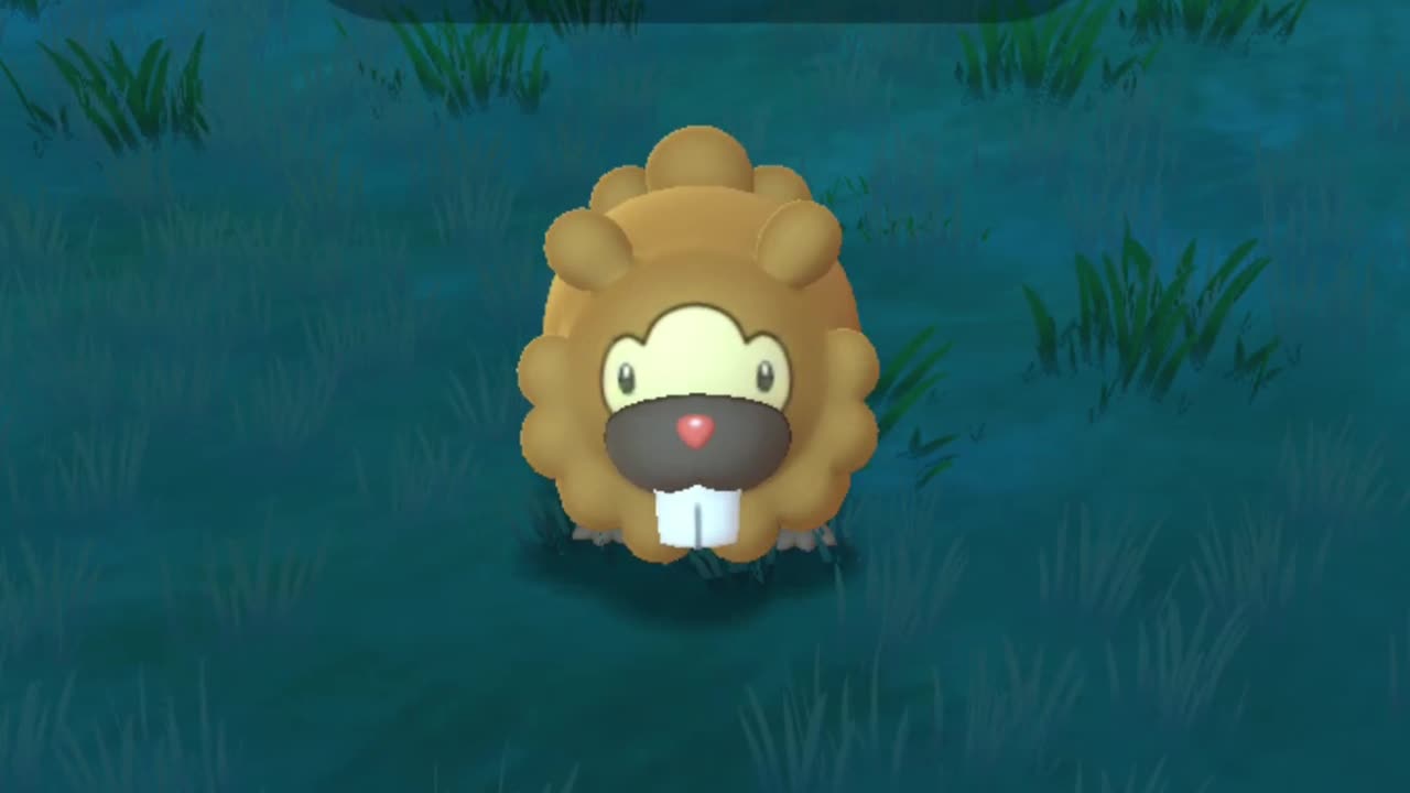 Nufftingz Shorts: Catching A Wild Hundo God Bidoof