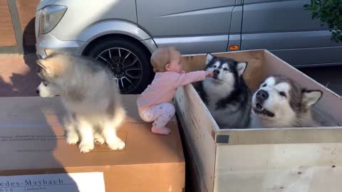 The Best Year Of Our Lives! Baby And Puppy Growing Up Together! (Cutest Ever!!)
