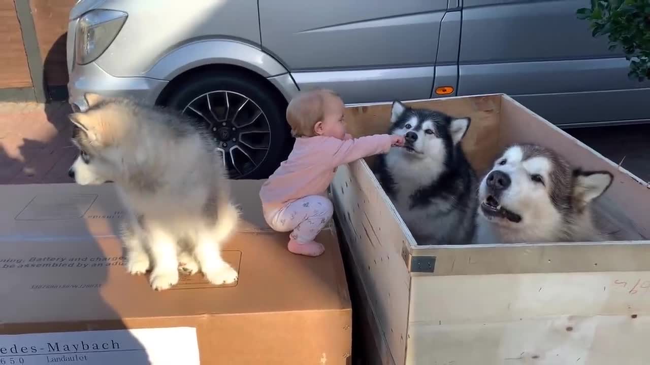 The Best Year Of Our Lives! Baby And Puppy Growing Up Together! (Cutest Ever!!)