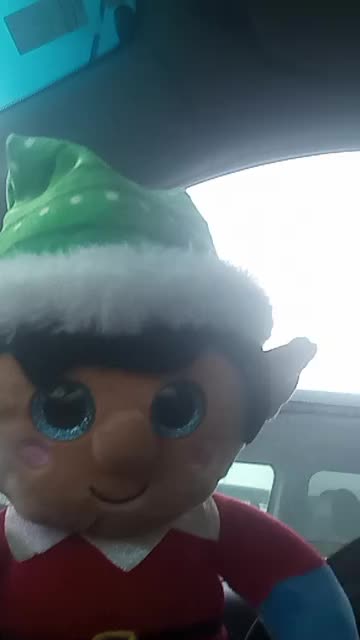 Frankie the farting Christmas elf.