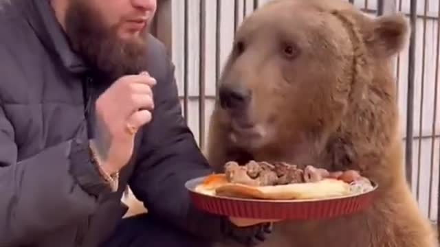 Have dinner with big bear