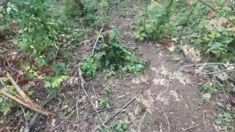 Ukrainian soldiers from the 3rd assault brigade under intense Russian artillery fire.