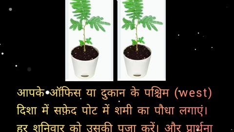 Vastu tips
