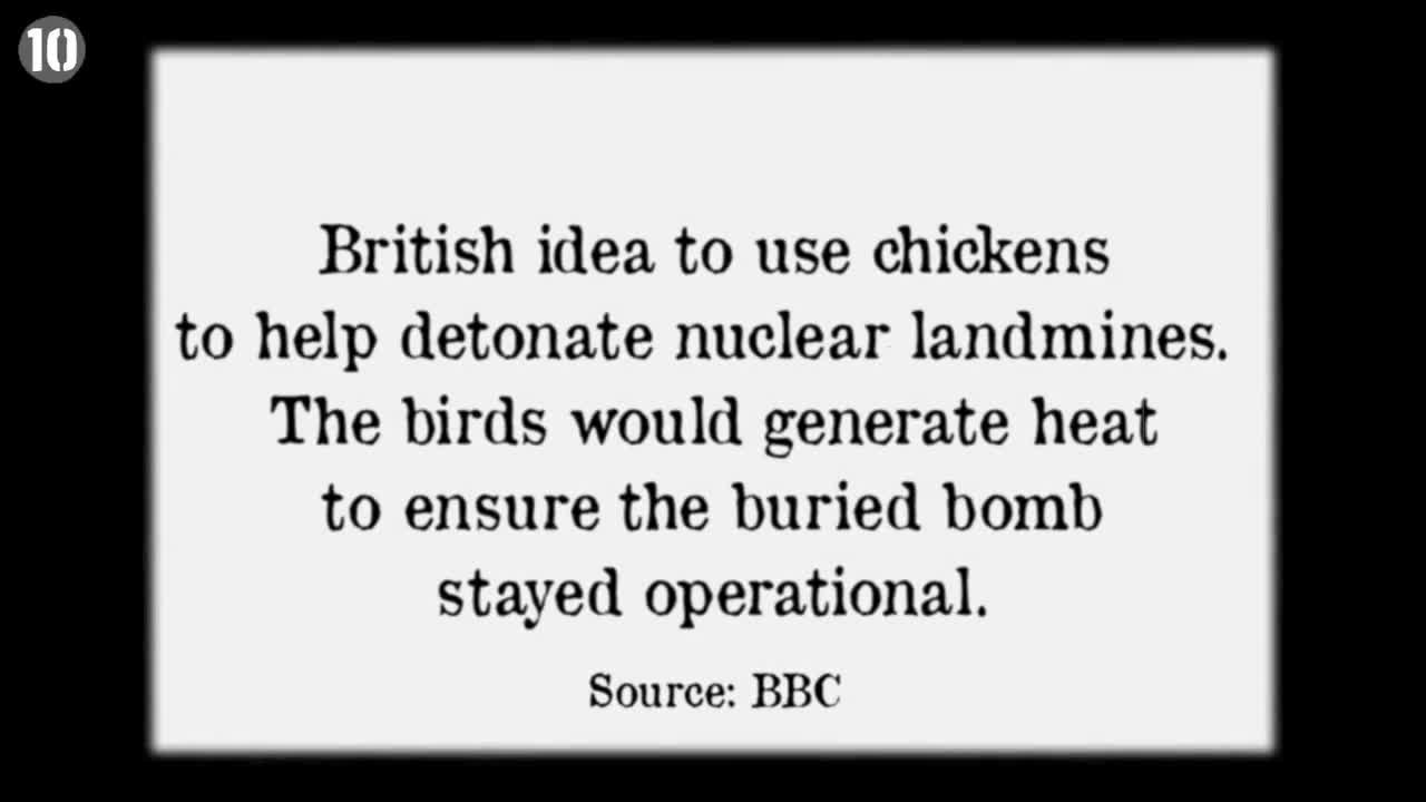10 Truly Bizarre Military Experiments