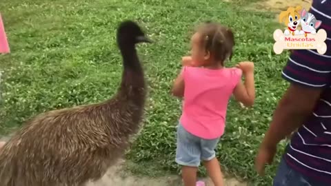 Funny KIDS vs ZOO ANIMALS Are VERY FUNNIER! | TRY NOT TO LAUGH 🤣