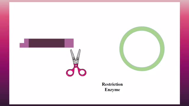 Recombinant DNA technology