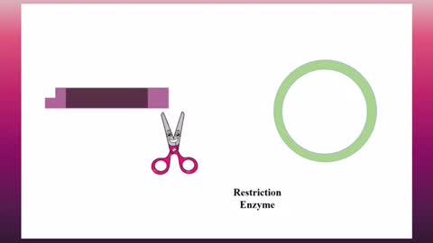 Recombinant DNA technology