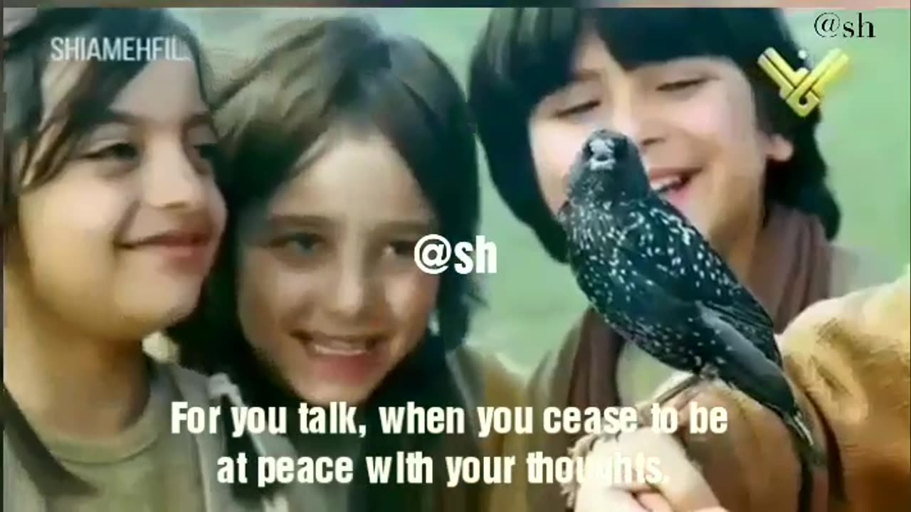 How to choose words// A clip you can't miss.