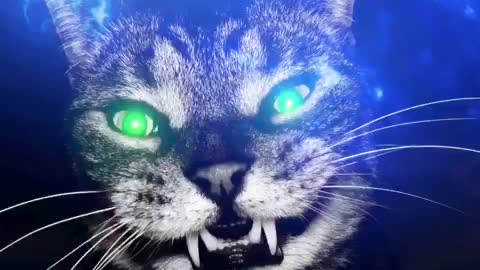 CFC66, crazyfunnycats66 , Crazy Funny Cats.