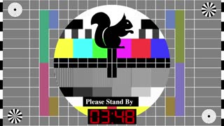 Squirrel Chatter! Wednesday, May 24, 2023
