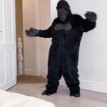 BEST FUNNIEST MOMENT 😆😆😆