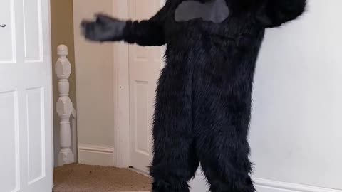 BEST FUNNIEST MOMENT 😆😆😆