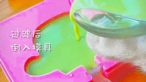 Cats make a ice cream 🍨
