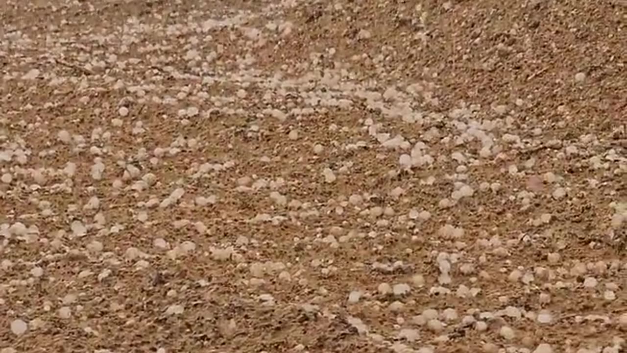 Strange: Hailstorms & stones in several areas of UAE