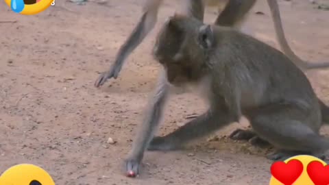 Funny video 😂 hai
