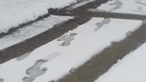 Snow queens