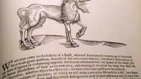 Were Unicorns Once Real?
