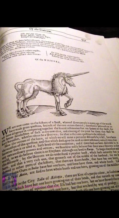 Were Unicorns Once Real?