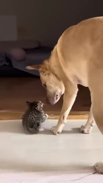 Big brother energy @Individual_Wait_3882