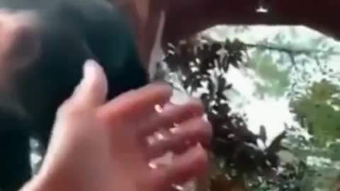 POV Monkey Bro