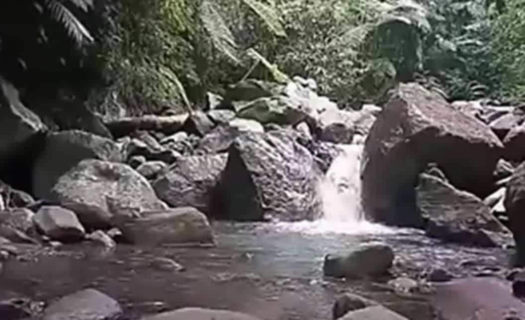 Back to nature, Water is the source of life