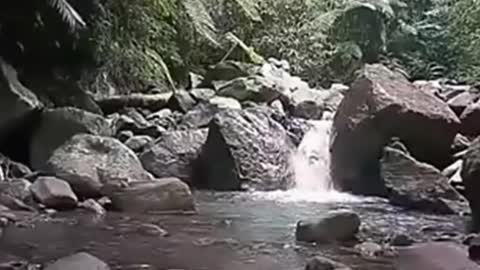 Back to nature, Water is the source of life