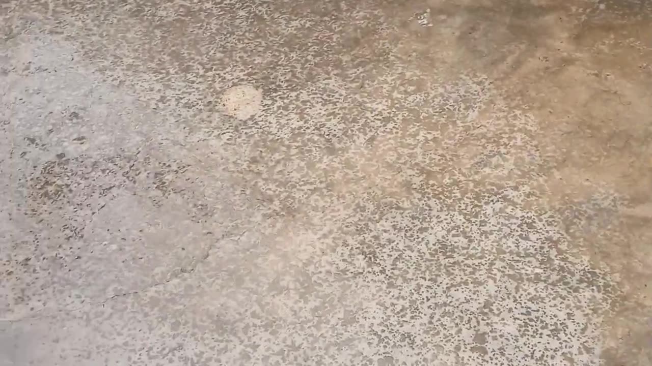 Sheruthedawg ! Nahana hai ,nahi nahana hai😂
