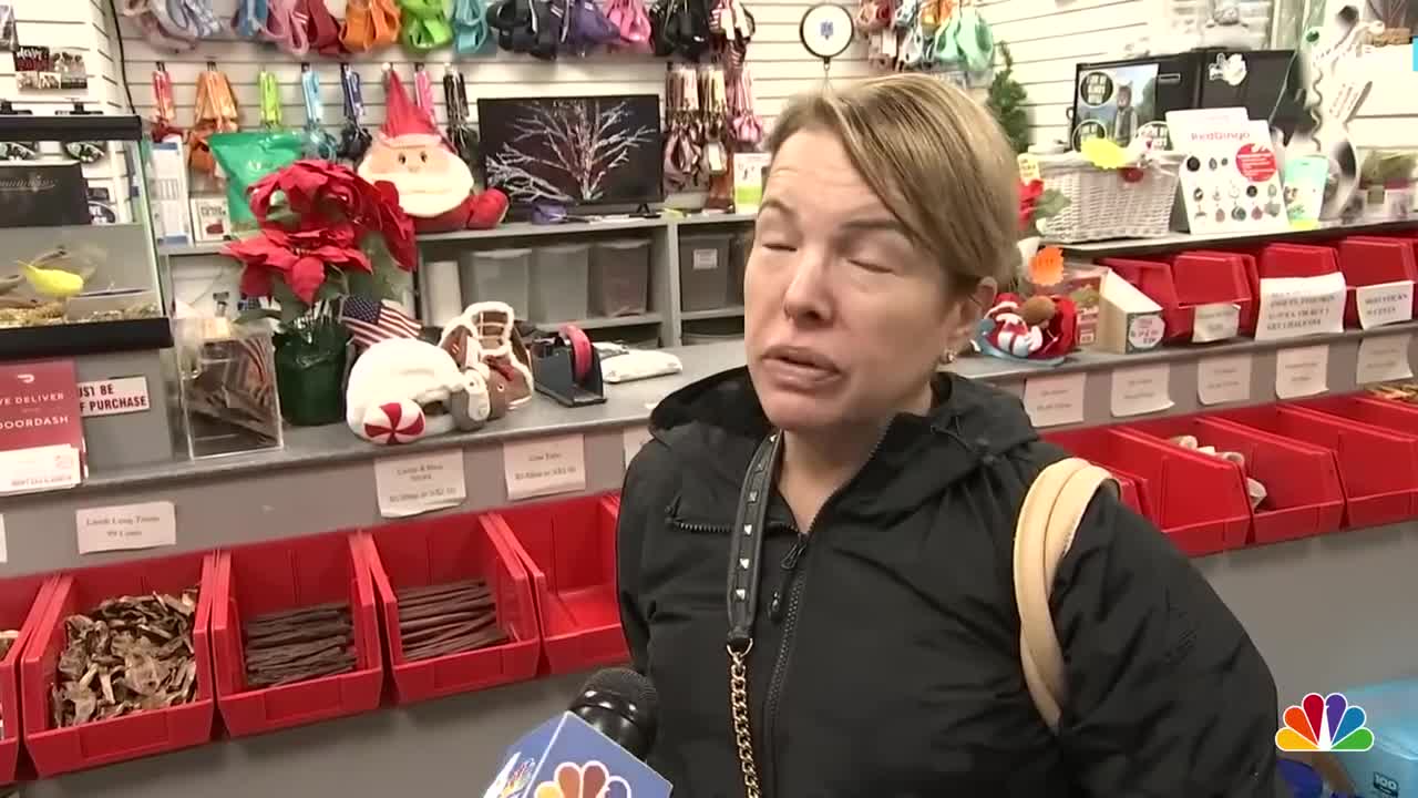 New York Bans Sell Of Dogs, Cats And Rabbits In Stores