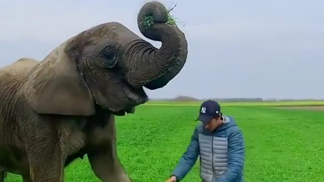 20 years of friendship🐘