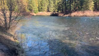 Hiking Shoreline of Mighty Metolius River – Central Oregon