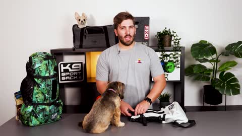 How To Get Your Dog In A Backpack Carrier K9 Sport Sack