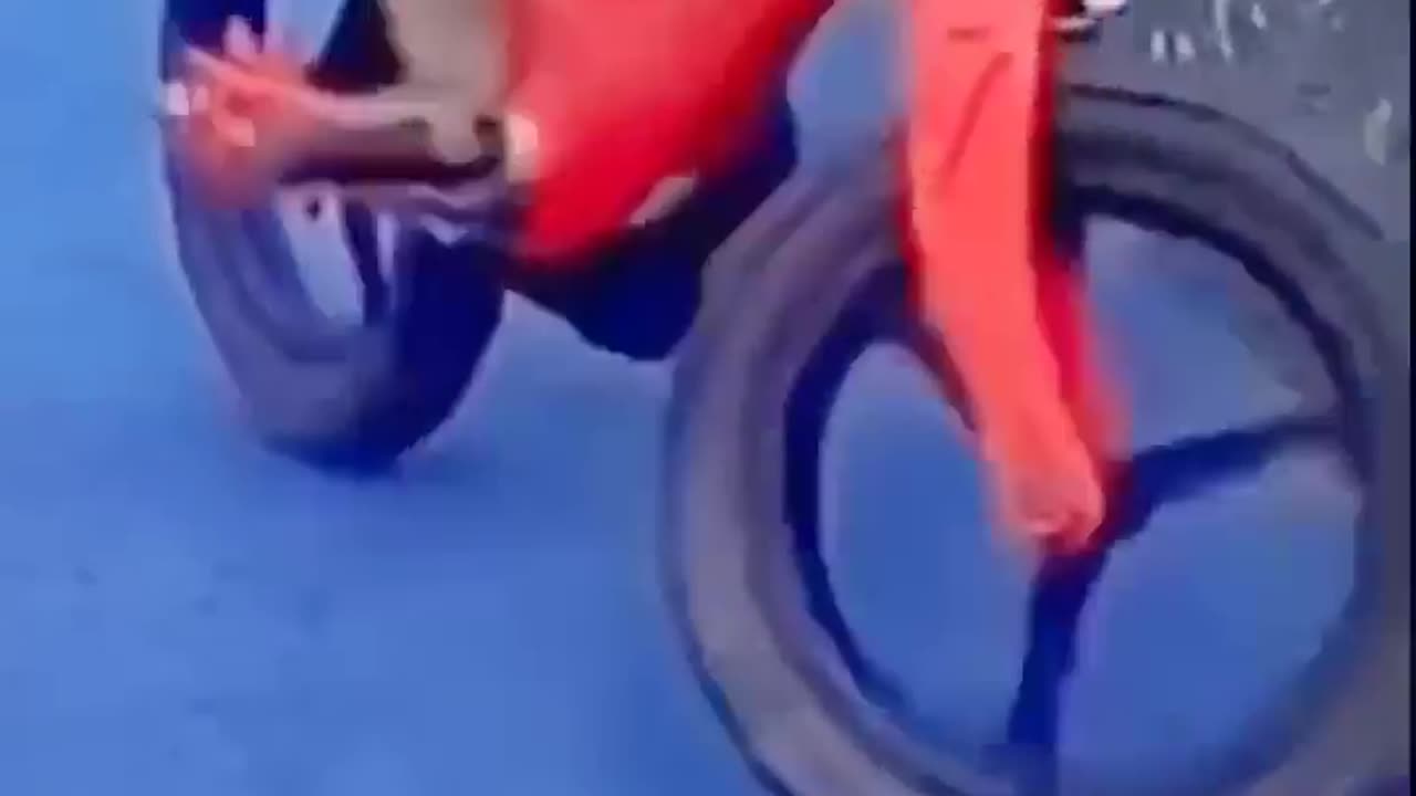 Monkey cycleing