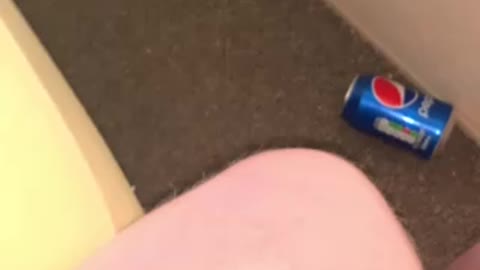 MJCS 7) Massage Kitty 11/11/2020