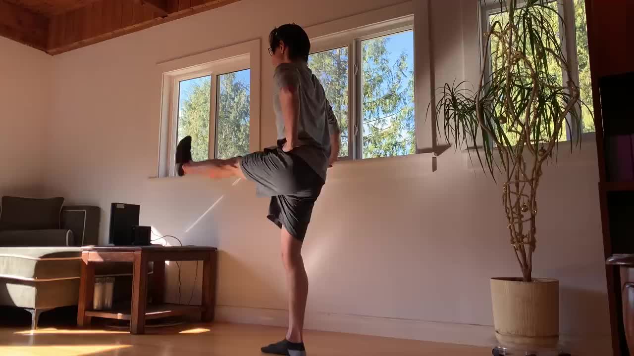 Home workout - learn how to split