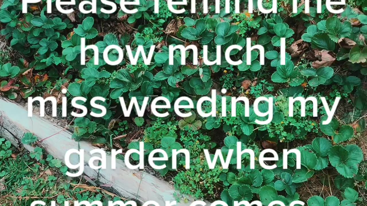 Weeding the garden ♥️