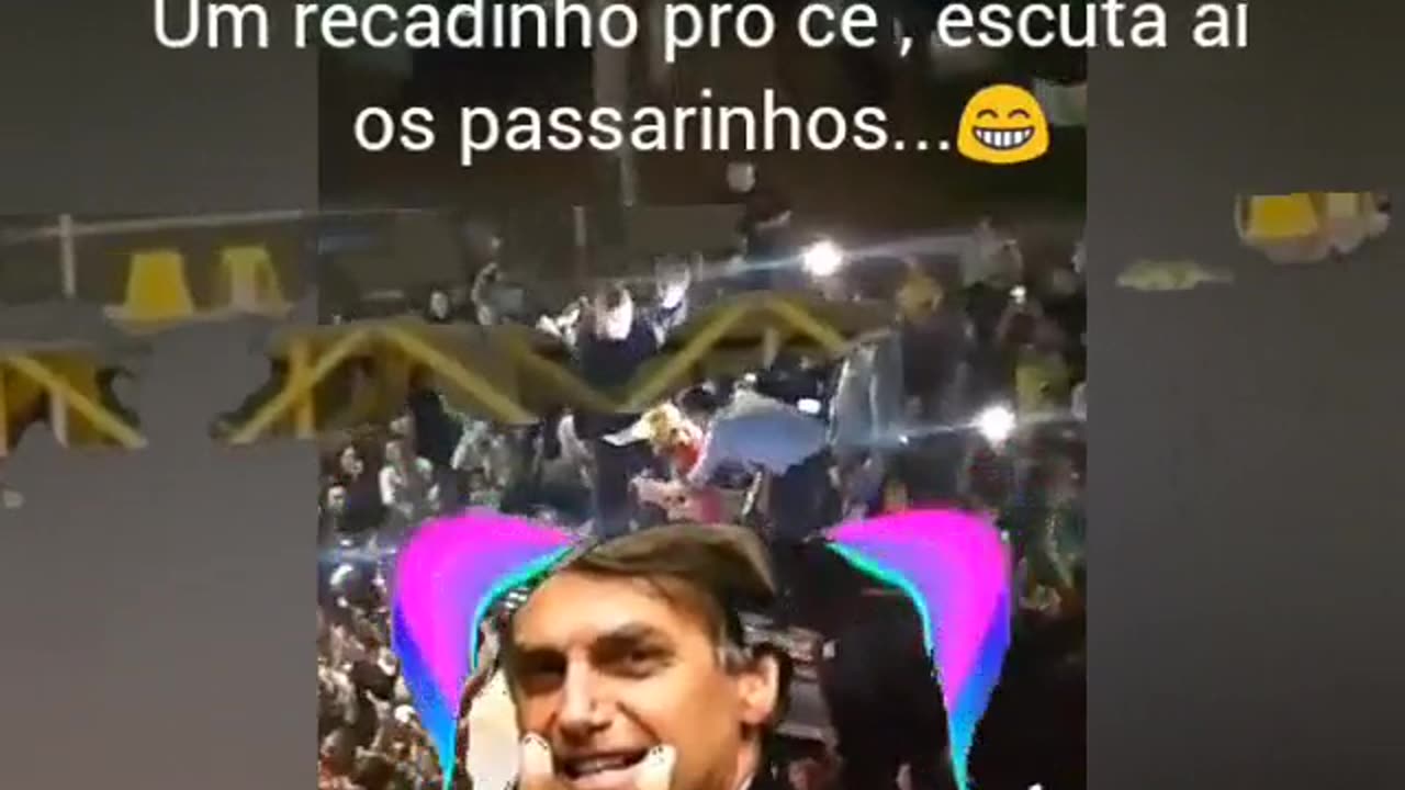 Olha os passarinhos...